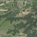 Tree blocking road near 64th Street in Sabula