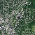 Person bitten on ankle by dog in Jamestown