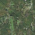 Unresponsive woman found breathing near Charlton