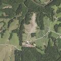 Loose cow in ditch near 80th Street