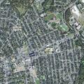 Man overdoses on unknown drug in Springfield backyard