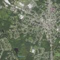 64-year-old woman falls and swells eye at Myrtle St