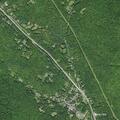 Erratic black BMW reported near Pine Hill