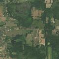 Loose pig reported in residential yard