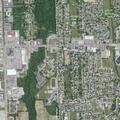 Man falls from tree and injures back in Trenton
