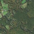 Resident reports dogs found loose from kennels