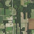 Medical alarm for elderly woman near Fulton