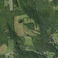 Single-car crash with juveniles needing evaluation