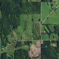 Neighbor reports cows damaging property