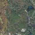 72-year-old male placed under Section 12 near Upton