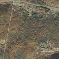 Missing person search on Birch Hill Road