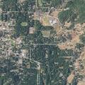 Man suffers excessive bleeding after dog bite in Oregon