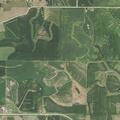 Loose cow penned in cornfield near 150th Street