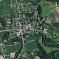 Cow blocking roadway on County Road 10