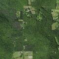Woman has allergic reaction near Lord Road in Perry and Clark area
