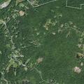 Bear will not leave Platte Clove Road property
