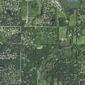 Child stuck 30 feet high in tree at Kildeer address