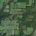65-year-old woman treated for leg infection in Thurston
