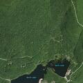 49-year-old woman bitten by dog near dam in Hunter