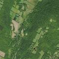 78-year-old man with pain near Elk Creek Road, Halcott