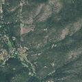 Person suffering allergic reaction in Talent, Oregon
