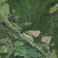 Tree leaning on cable wires near roadway