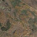 Brief smoke column reported near Beartown Mountain