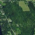 Animal complaint on Route 430