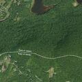 Child treated for food allergy reaction at Deer Mountain Inn