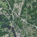 Person lying down on property with dead dogs in Catskill