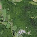 Runaway student runs into woods near school