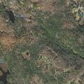 Elderly man found down for days after fall in Otis