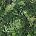Search underway for missing children in woods near Keyser Road in Walton