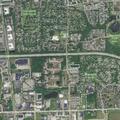 Driver honking horn causes disturbance on Partridge Path
