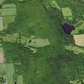 Brush fire reported on Randall Hill Road