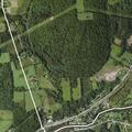 Dead deer reported at State Route 12 residence