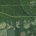 80 year old male falls and injures knee in Afton