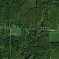 Woman lost in woods while searching for dog