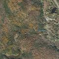 Medical call for man with chest pain near Tyringham Road