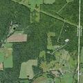 91-year-old female suspected stroke near Bainbridge