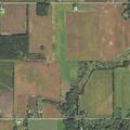 Man dizzy after fall post knee surgery in Garden Prairie