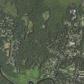 84-year-old male fell, conscious and breathing in Needham
