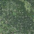 Loose dog complaint on West Hillside Road