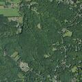Domestic incident at Route 31 and Blackhead Mountain
