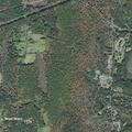 Person vomiting black fluid and chest pain at trailer park