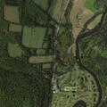 Cow loose in roadway on State Highway 12