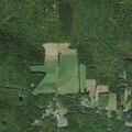 62-year-old woman with leg pain at Schuyler Road