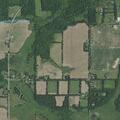 Person treated for bite wound near Zuehlke Road in Albion
