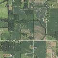 Person feeling sick near Collins Road in Marengo