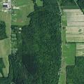 Tree blocking lane on South Stockton-Cassadaga Road